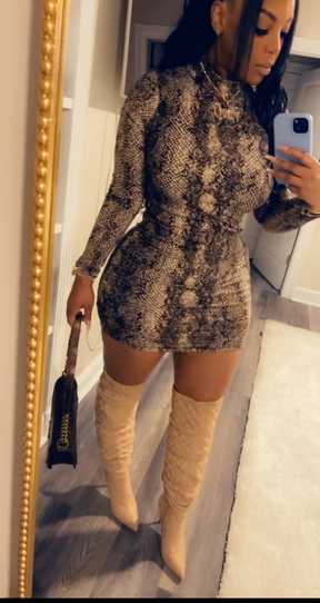 Python Princess Dress